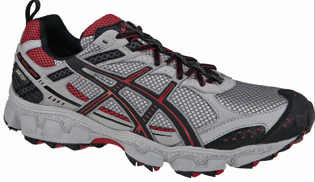 Asics Gel Trail Lahar 2 G-TX grau/schwarz Laufschuhe Herren