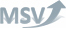 MSV