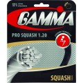 Gamma Live Wire Pro Squashsaite
