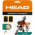 Head Perfect Power Squashsaite