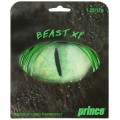 Prince Beast XP Tennissaite
