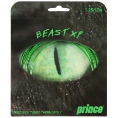 Prince Beast XP Tennissaite