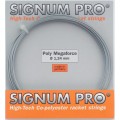 Signum Pro Poly Megaforce Tennissaite