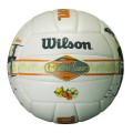 Wilson Volleyball Endless Summer