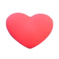 Wilson Schwingungsd�mpfer Heart
