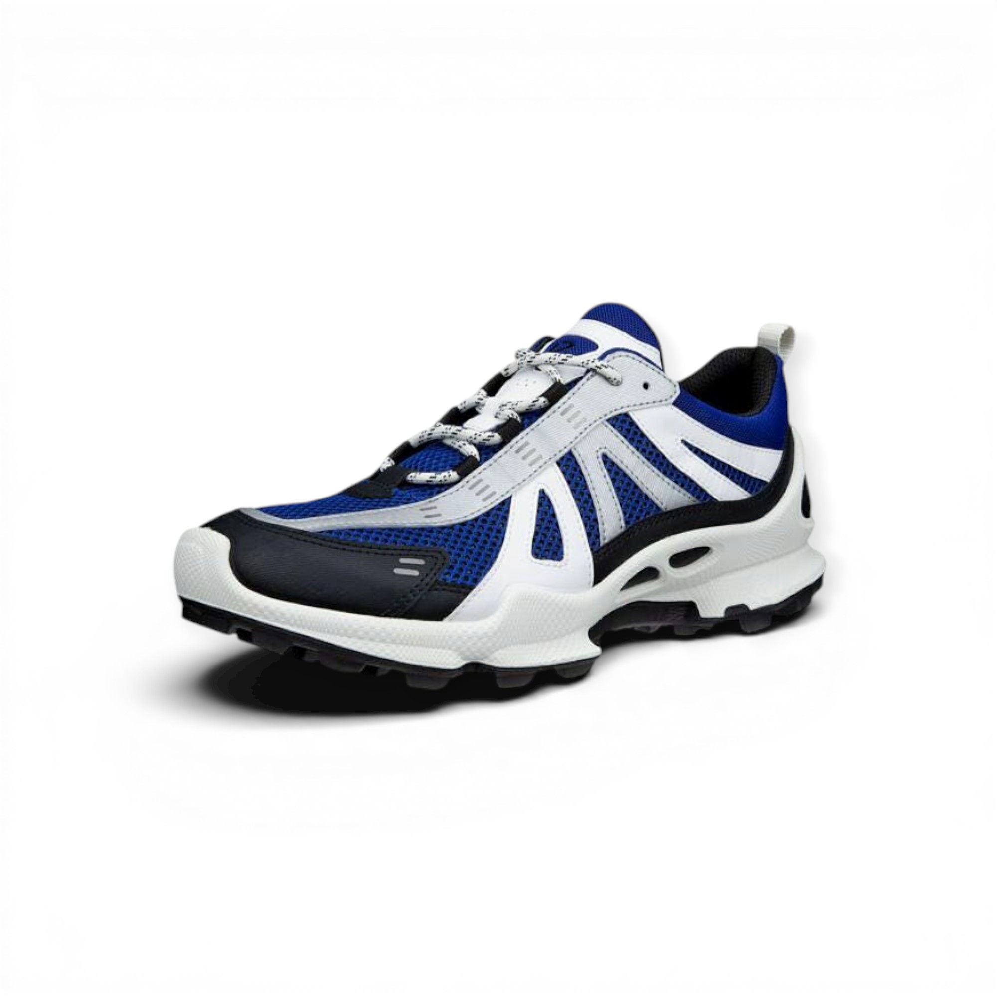 ECCO Sneaker BIOM C-Trail schwarz/blau/silber Herren, Größe Euro (US): 45 Image