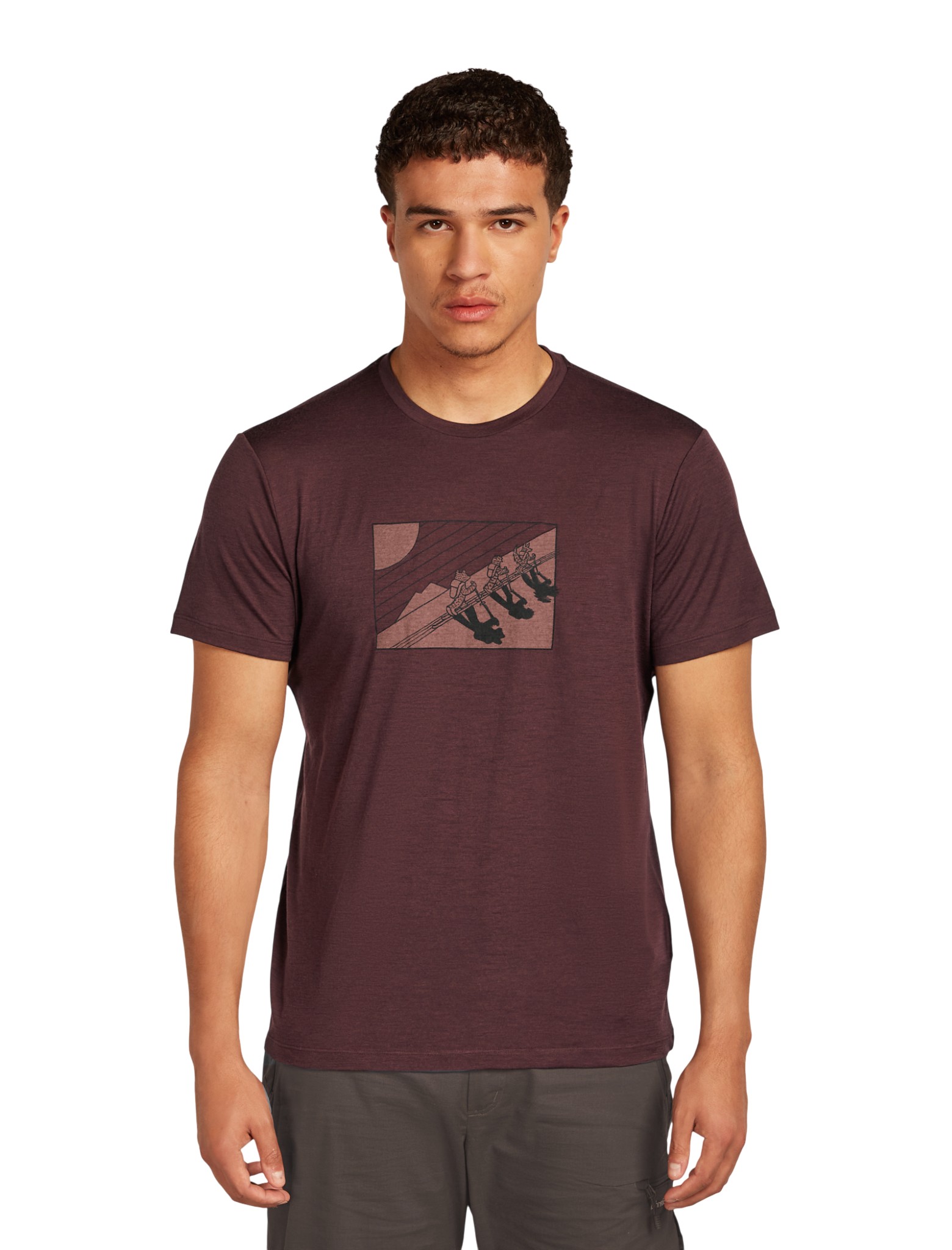 Icebreaker Funktions-Tshirt Merino 150 Tech Lite Tee In The Wild (Merinowolle) 2025 javabraun Herren