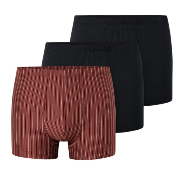 Schiesser Unterwäsche Boxershorts 95/5 Organic Cotton mehrfarbig schwarz/rotbraun/gestreift 924 Herren - 3 Stück, Größe: 7 Image