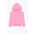 Champion Kapuzenpullover Hoodie American Classic Champion Print (gefüttert) pink Mädchen
