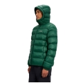 Berghaus Winterjacke Ewden (wärmeisolierung) grün Herren
