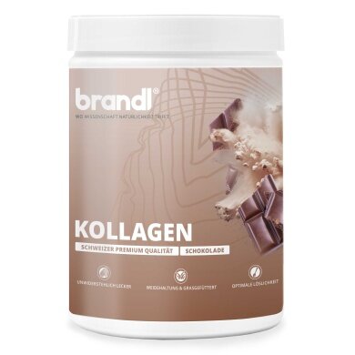 Brandl Kollagen Pulver Schokolade 555g Dose