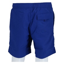 Champion Freizeithose (mit Innennetz) Short mit Logo-Schriftzug royalblau Herren