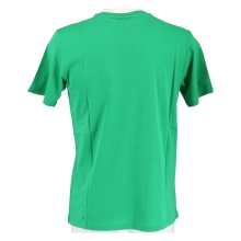 Champion Tshirt (Baumwolle) Graphic Shop Print 2021 grün Jungen/Boys