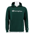 Champion Kapuzenpullover Hoodie Big Logo Print (gefüttert) waldgrün Jungen