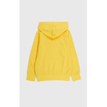 Champion Kapuzenpullover (Baumwoll-Hoodie) Big Logo gelb Kinder
