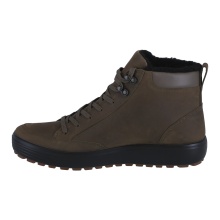 ECCO Winterschuhe Soft 7 Tred Mid-Cut GTX (Leder, wasserdicht) dunkelgrün/tarmac Herren