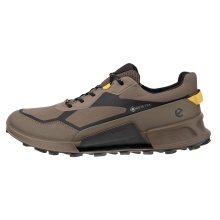 ECCO Wanderschuhe Biom 2.1 X Mountain GTX (Textil, wasserdicht) braun Herren