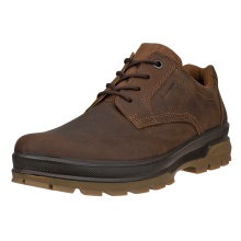 ECCO Alltag-Travelschuhe Rugged Track WP Plain Toe (wasserdicht) braun Herren