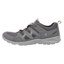ECCO Wanderschuhe Terracruise LT Low Vent grau Herren
