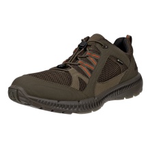 ECCO Wanderschuhe Terracruise ll TEX GTX 2025 (wasserdicht, strapazierfähige Sohle) grün Herren