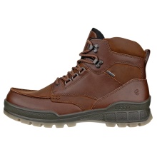 ECCO Alltag-Travelschuhe Track 25 Mid GTX (Nubukleder, wasserdicht) dunkelbraun Herren