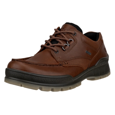 ECCO Wanderschuhe Track 25 Low GTX (Alltagschuhe, Leder, wasserdicht) dunkelbraun Herren