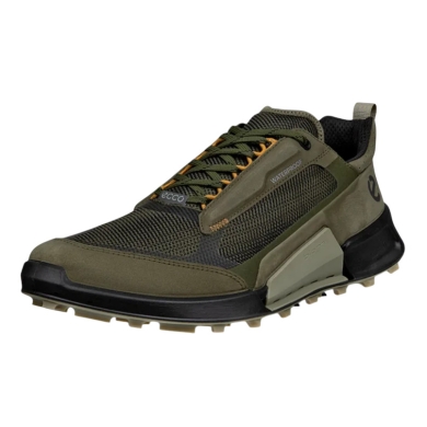 ECCO Wanderschuhe Biom 2.1 X Mountain Low (wasserdicht, Nubukleder) grün Herren