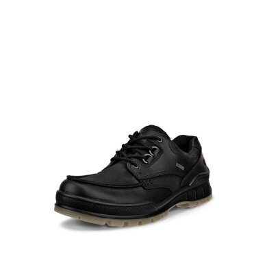 ECCO Wanderschuhe Track 25 Low GTX (Alltagschuhe, Vollnarbenleder, wasserdicht) schwarz Herren