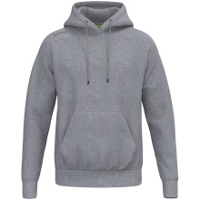 Erima Kapuzenpullover TS Hoodie (Baumwollmix) grau Herren