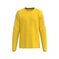 Erima Pullover Intro Sweatshirt (strapazierfähig Funktionsmaterial) gelb Herren