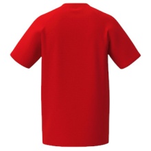Erima Sport-Tshirt CMPT 3 Wings (Mischgewebe, schnelltrocknend) rot Herren
