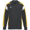 Erima Trainingsjacke Celebrate 125 mit Kapuze (atmungsaktiv, 100% Polyester) schwarz/gelb Herren
