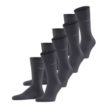Esprit Tagessocken Crew Solid (Baumwolle) anthrazitgrau Herren - 4 Paar