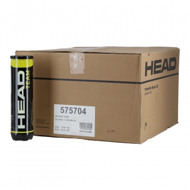 Head Tennisbälle Team Dose 36x4er im Karton