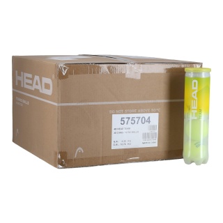 Head Tennisbälle Team Dose 36x4er im Karton
