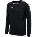 hummel Sport-Langarmshirt hmlAUTHENTIC Training Sweat (Baumwoll/Polyester-Gemisch) schwarz Herren