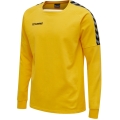 hummel Sport-Langarmshirt hmlAUTHENTIC Training Sweat (Baumwoll/Polyester-Gemisch) gelb Herren