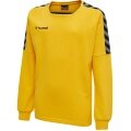 hummel Sport-Langarmshirt hmlAUTHENTIC Training Sweat (Sweatstoff, Rippbündchen) gelb Kinder