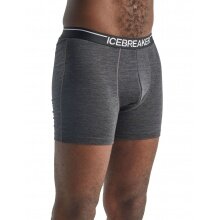 Icebreaker Boxershort Anatomica (Merinowolle) Unterwäsche grau Herren