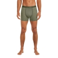 Icebreaker Boxershort Anatomica (Merinowolle) Unterwäsche lichen/lodengrün Herren