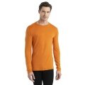 Icebreaker Unterwäsche Thermo-Langarmshirt 260 Tech Crewe - Merinowolle, enganliegend - gelb Herren