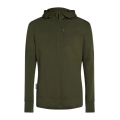 Icebreaker Kapuzenjacke Merino 260 Quantum IV Zip-Hoodie (100% Merinowolle) grün Herren