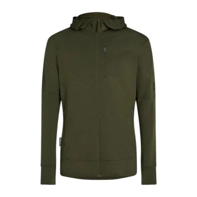Icebreaker Kapuzenjacke Merino 260 Quantum IV Zip-Hoodie (100% Merinowolle) grün Herren