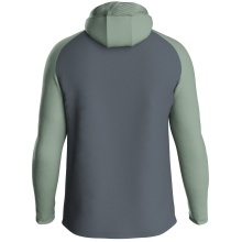 JAKO Kapuzenjacke Iconic (Polyester-Fleece, Seitentaschen mit Reißverschluss) anthrazitgrau/mintgrün Herren