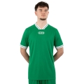 JAKO Sport-Tshirt Retro Trikot (V-Ausschnitt, atmungsaktiv) kurzarm grün/weiss Herren
