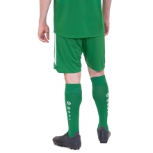 JAKO Sporthose Power (Polyester-Interlock, elastisch, schnelltrocknend) kurz grün Herren
