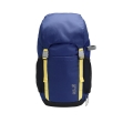 Jack Wolfskin Kinder-Wanderrucksack Explorer (bequemes Tragesystem, für Kinder ab 6 Jahren) blau/gelb 20 Liter