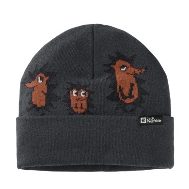 Jack Wolfskin Mütze (Beanie) Gleely - phantomgrau Kinder