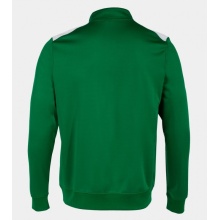Joma Pullover Championship VII Sweatshirt (Half-Zip, Fleece-Futter) grün/weiss Herren