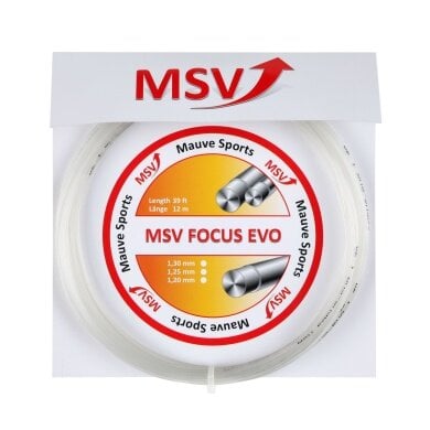MSV Focus Evo chrystal Tennissaite